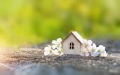 Spring Home Tips